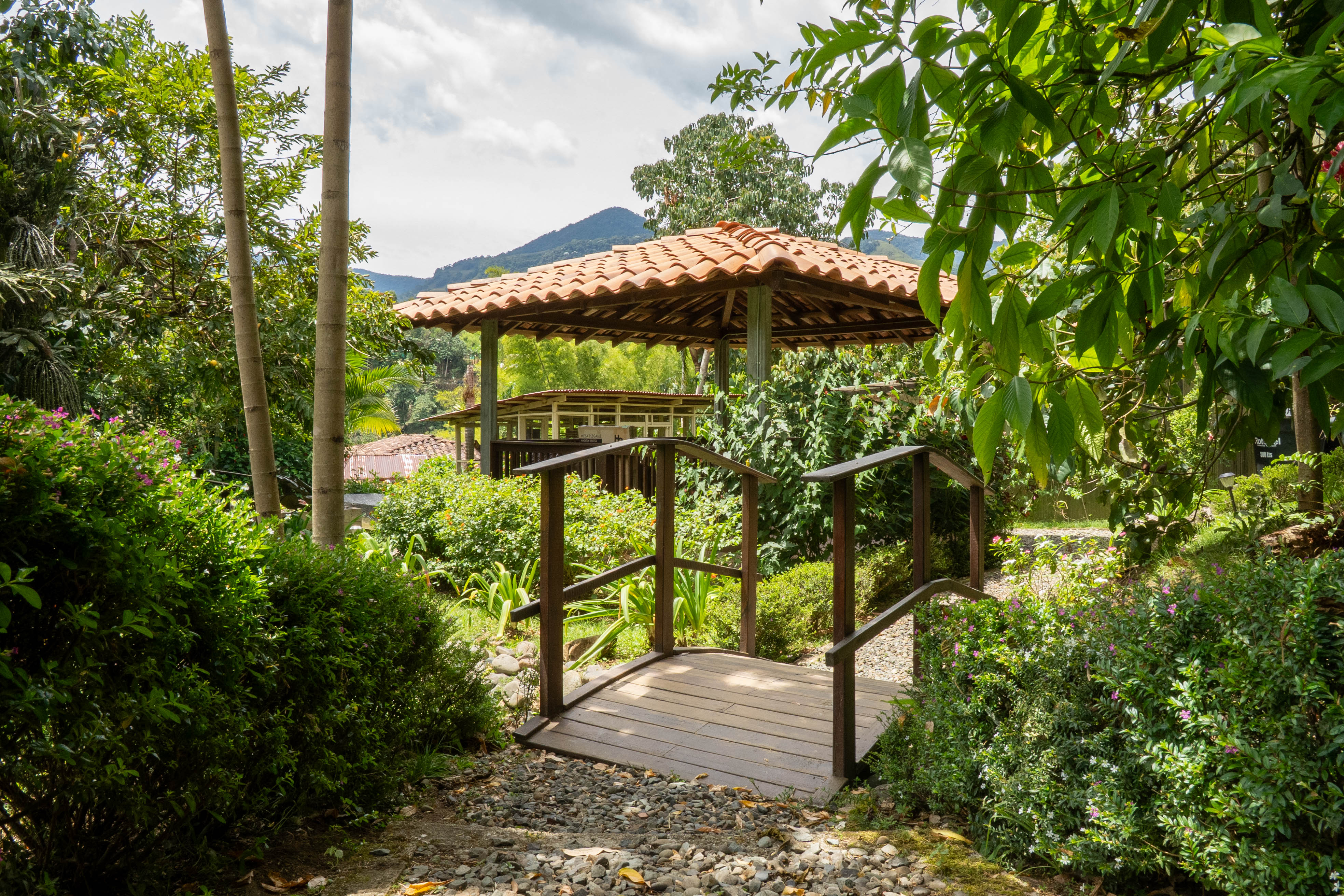 Vereda Serrania, ,10 BathroomsBathrooms,Finca,En Venta,FINCA MONTESER ,1210