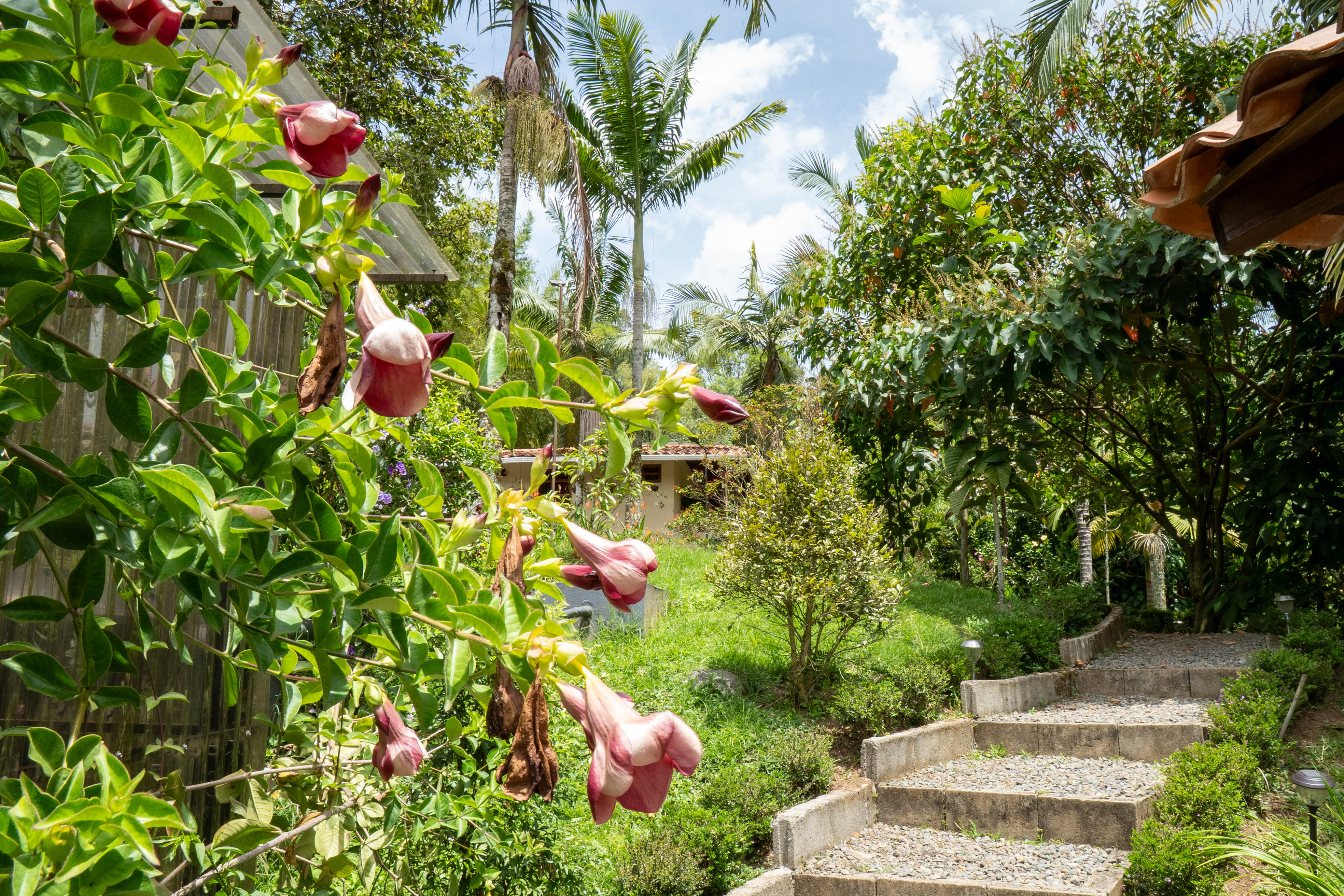 Vereda Serrania, ,10 BathroomsBathrooms,Finca,En Venta,FINCA MONTESER ,1210