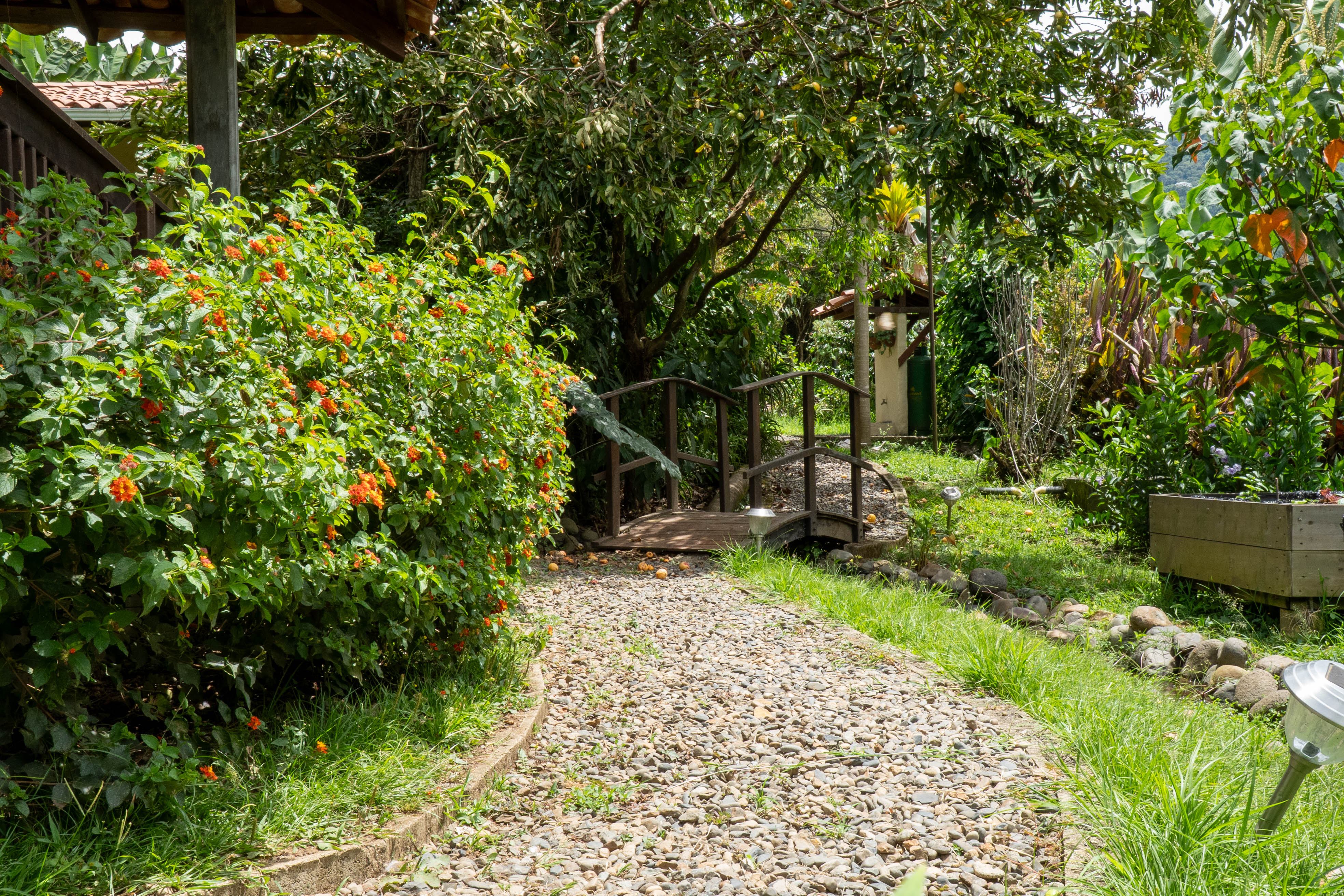 Vereda Serrania, ,10 BathroomsBathrooms,Finca,En Venta,FINCA MONTESER ,1210
