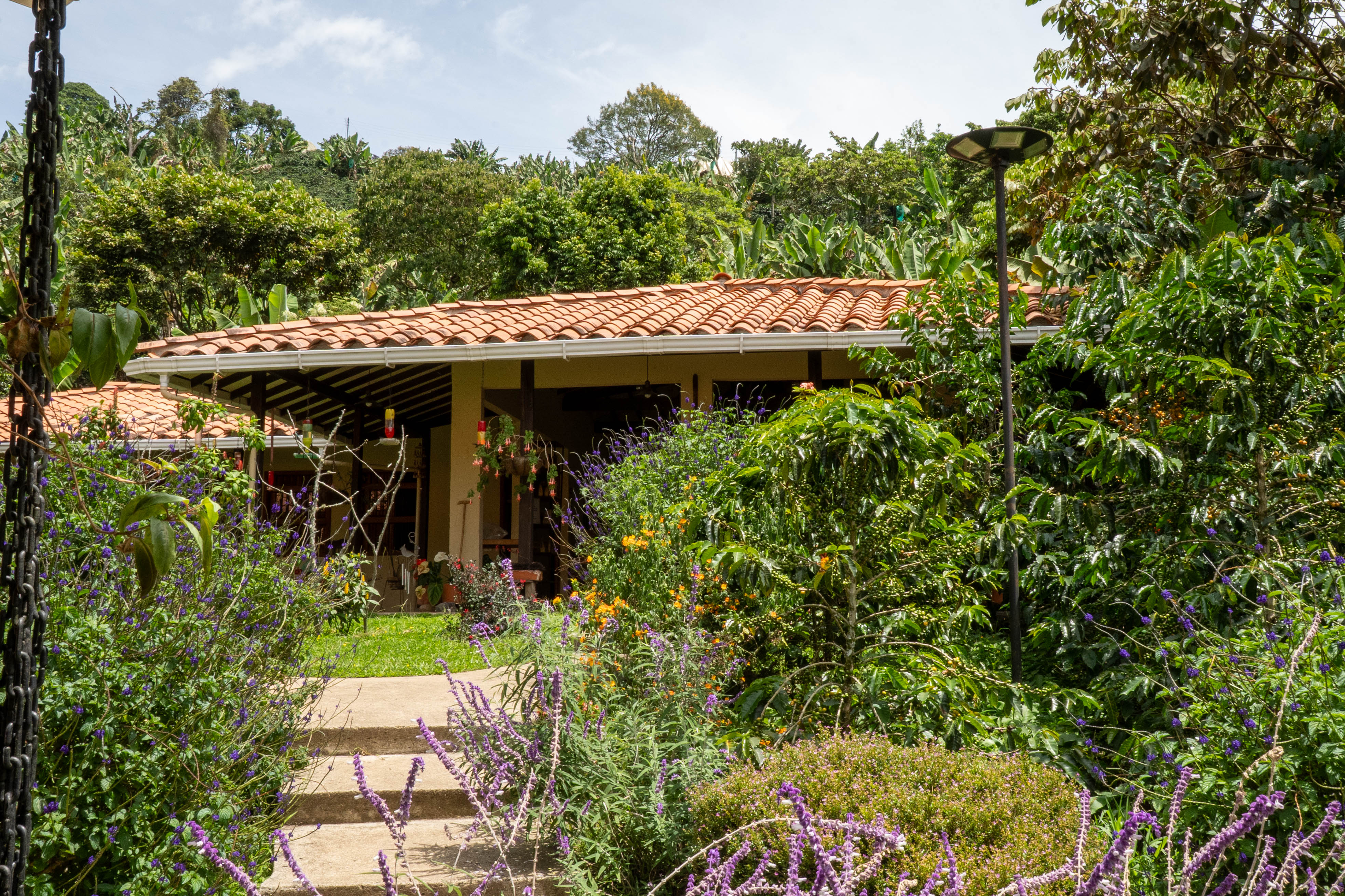 Vereda Serrania, ,10 BathroomsBathrooms,Finca,En Venta,FINCA MONTESER ,1210