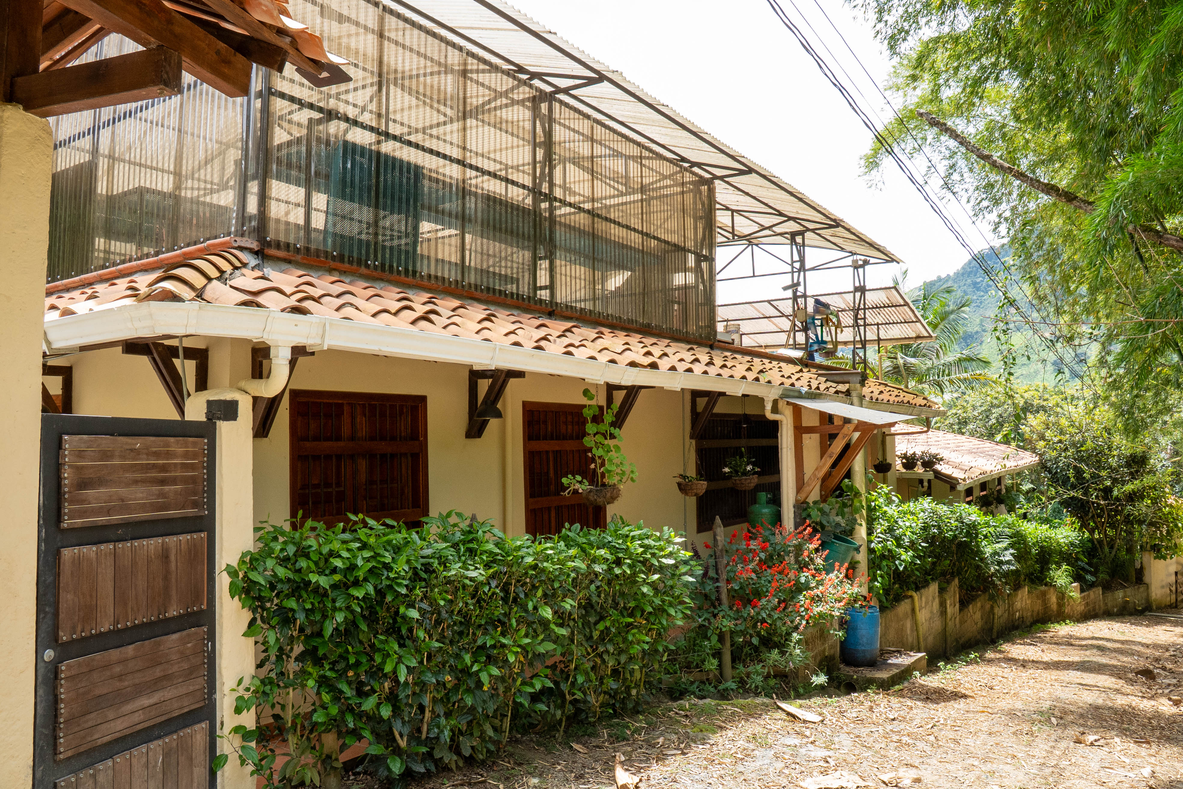 Vereda Serrania, ,10 BathroomsBathrooms,Finca,En Venta,FINCA MONTESER ,1210