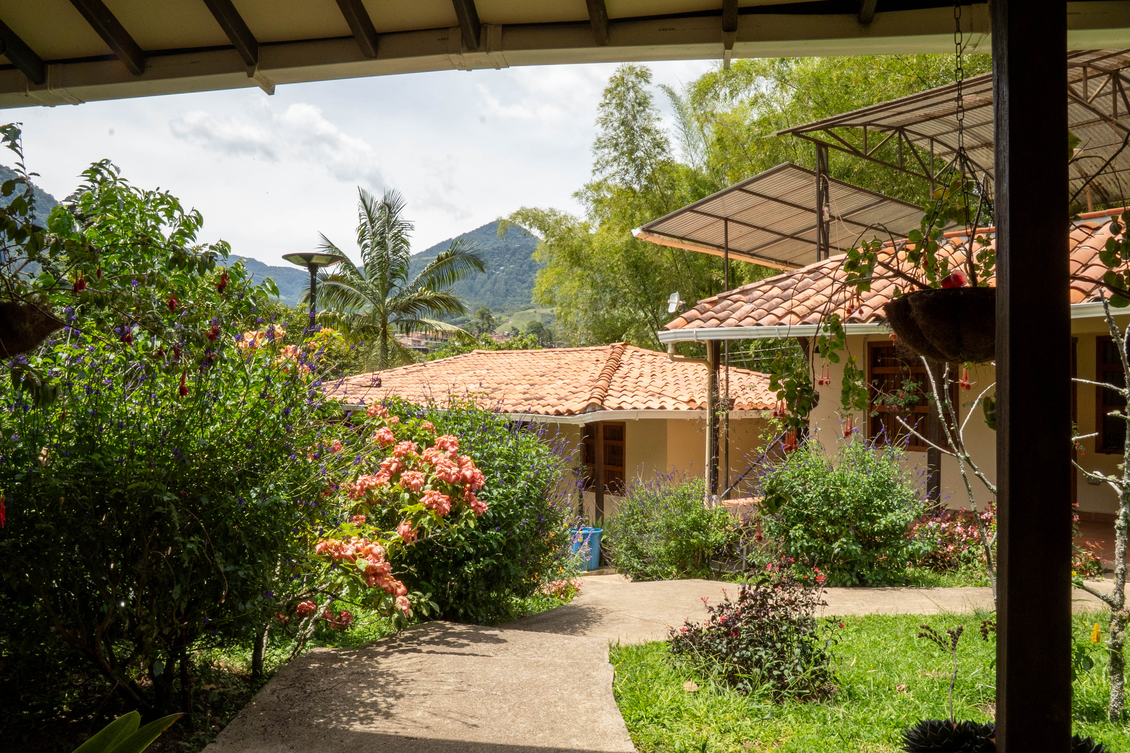 Vereda Serrania, ,10 BathroomsBathrooms,Finca,En Venta,FINCA MONTESER ,1210